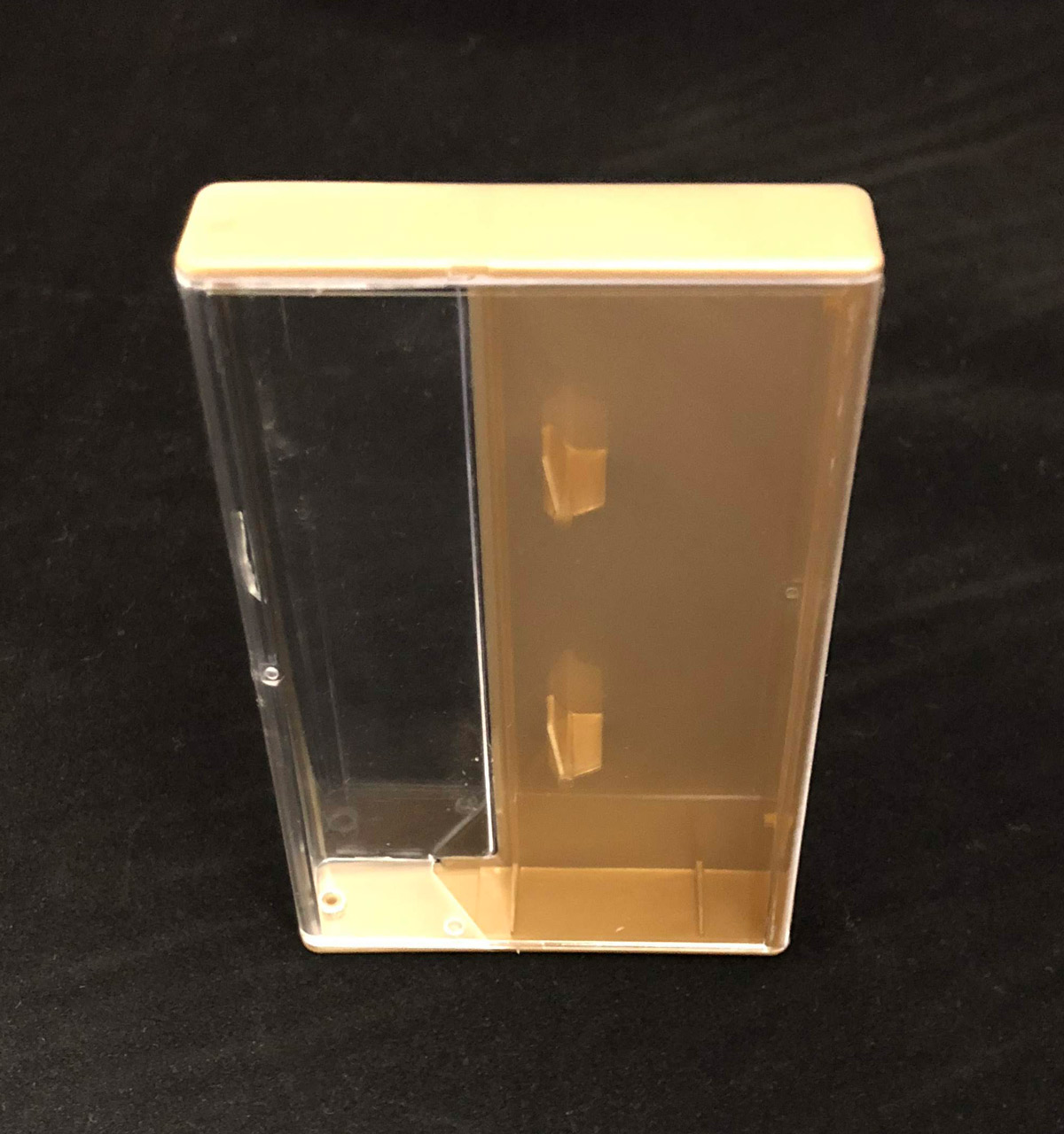metallic gold cassette case