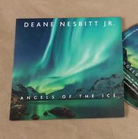 Printed 2 Panel CD Jacket Sleeve (digital print) Printed 2 Panel CD Jacket Sleeve (digital print)