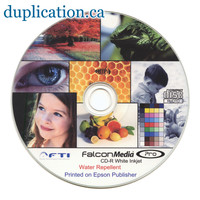Falcon Water Repellent CD-R 50pk Falcon Water Repellent CD-R 50pk