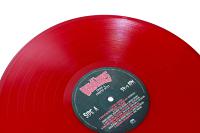 Bulk 12-inch Vinyl Records QUICK 1-STEP PRESSING w/ Your Choice of Color (No Jackets) Bulk 12-inch Vinyl Records QUICK 1-STEP PRESSING w/ Your Choice of Color (No Jackets)