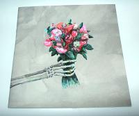 12-Inch Vinyl Printed Booklet (Digital Print), Overs Included