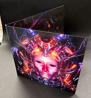 12 Inch Printed Gatefold Jacket for Vinyl Record (1 or 2 Pockets, digital print)