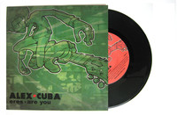 7 inch vinyl of alex cube